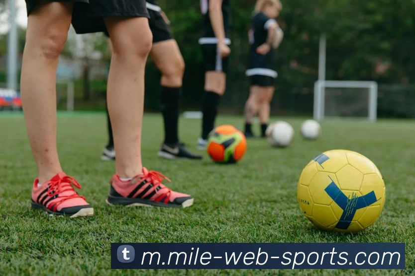 米乐体育APP 高清赛事图